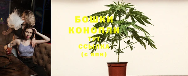 mdpv Белокуриха