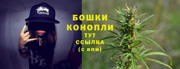 mdpv Белокуриха