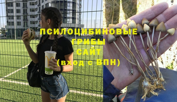 mdpv Белокуриха
