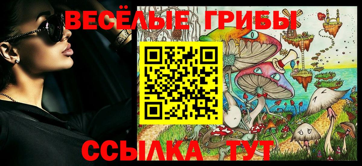 Псилоцибиновые грибы Magic Shrooms  Вход с VPN  Галлюциногенные грибы Magic Shrooms  Дагестанские Огни 